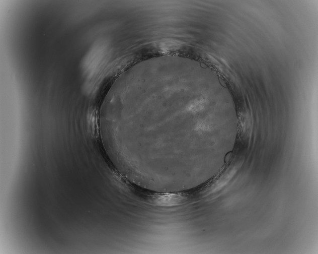 X0000094080527200710191424