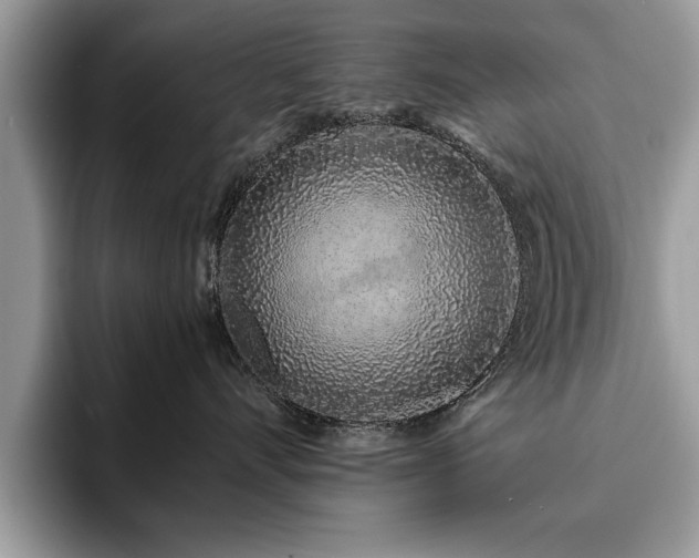 X0000094080528200710191424