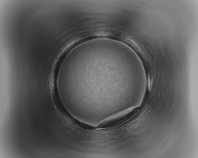 X0000094080531200710191423