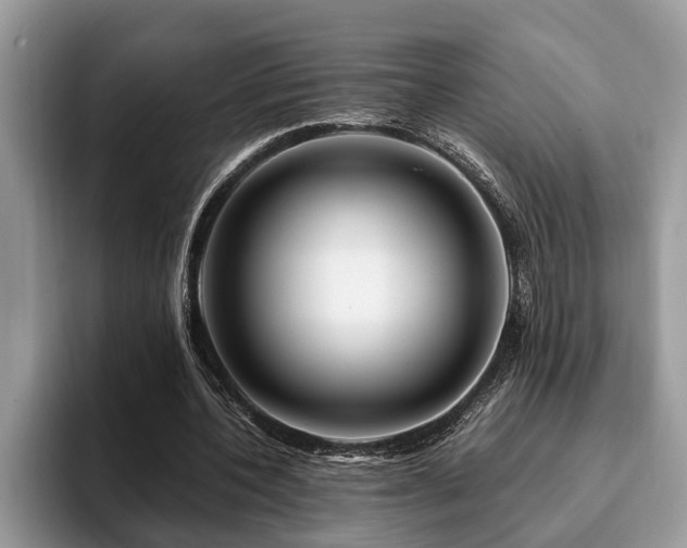 X0000094080532200710191423