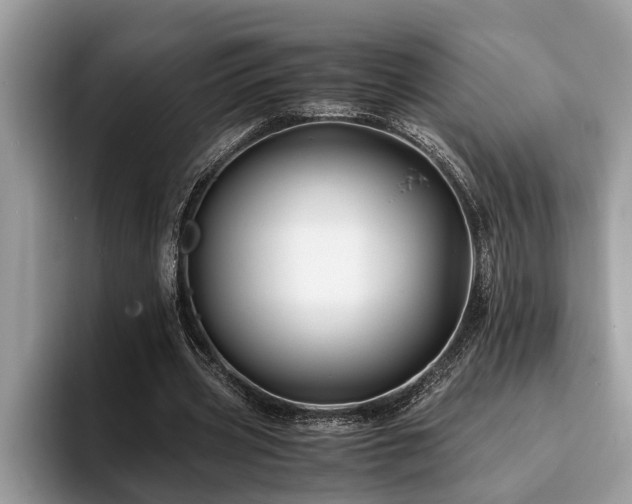 X0000094080533200710191423