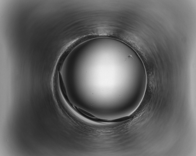 X0000094080536200710191423