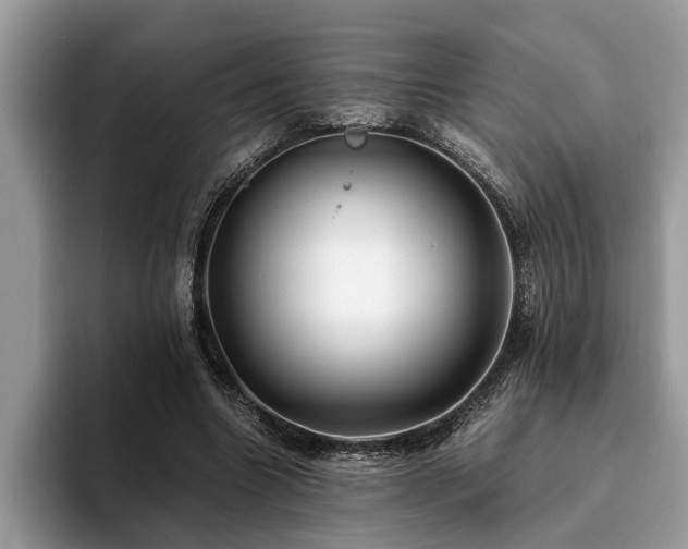 X0000094080538200710191423