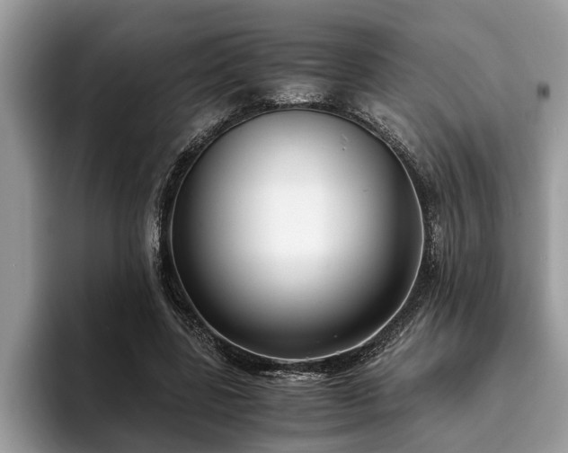 X0000094080539200710191423