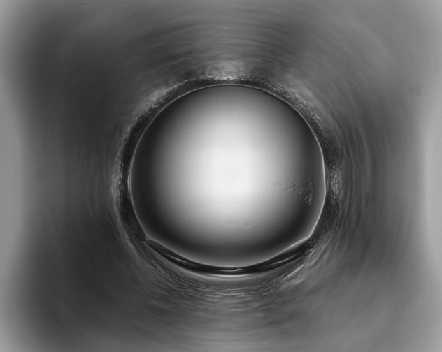 X0000094080540200710191423