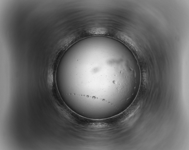 X0000094080541200710191423