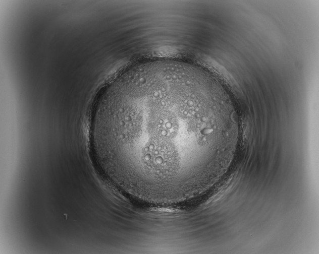 X0000094080542200710191423