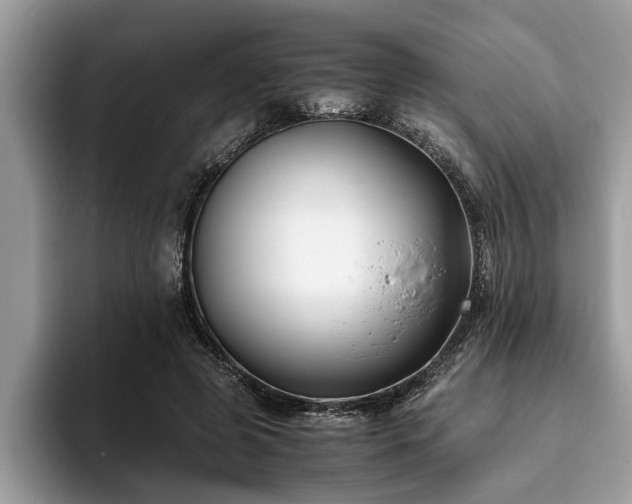 X0000094080545200710191423