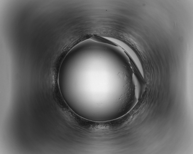 X0000094080546200710191423