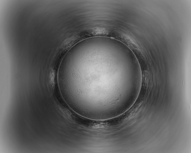 X0000094080550200710191423