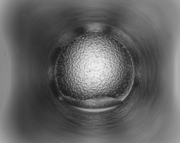 X0000094080551200710191423