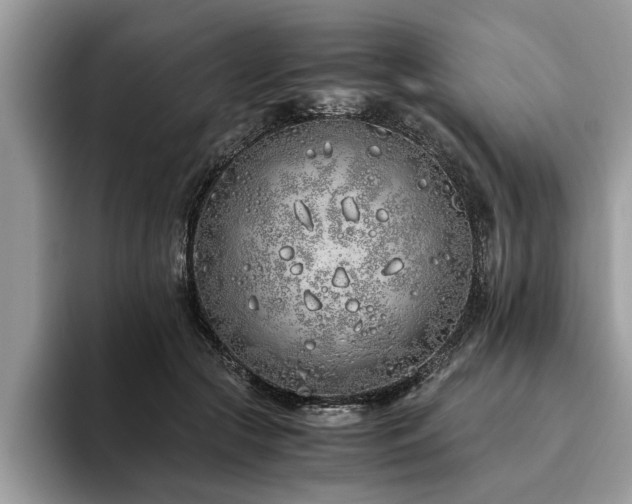 X0000094080553200710191423