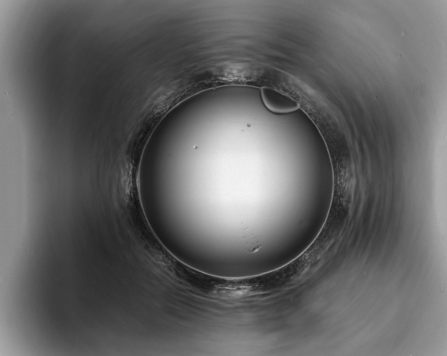 X0000094080554200710191423