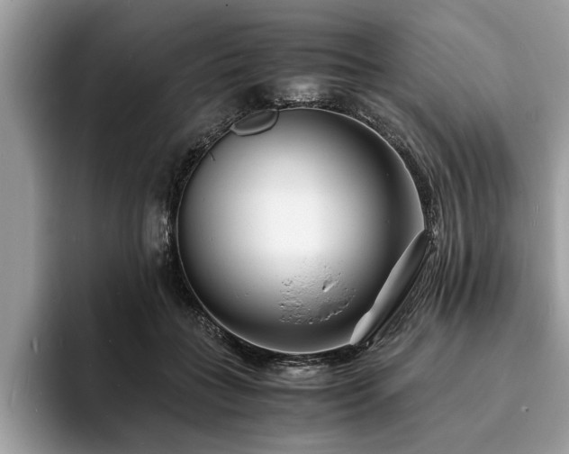 X0000094080555200710191423