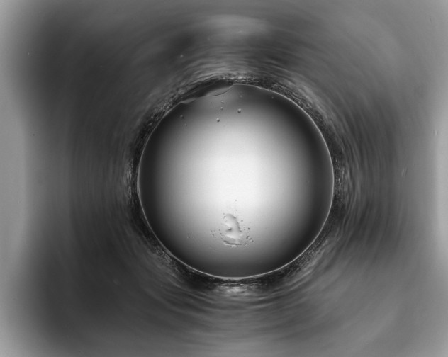 X0000094080557200710191423