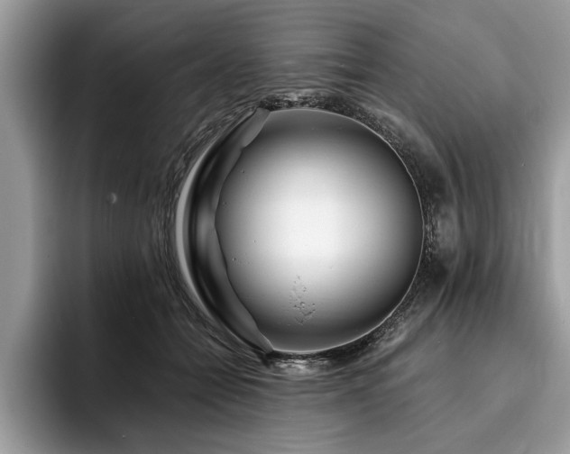 X0000094080558200710191423