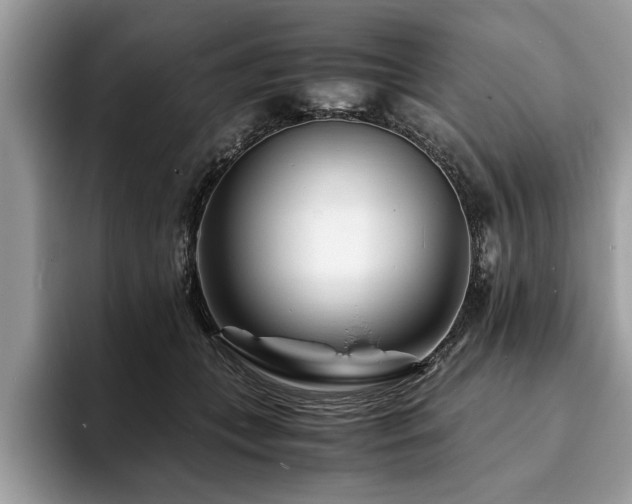 X0000094080559200710191423