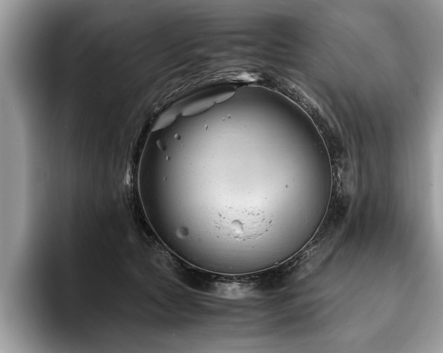 X0000094080561200710191423