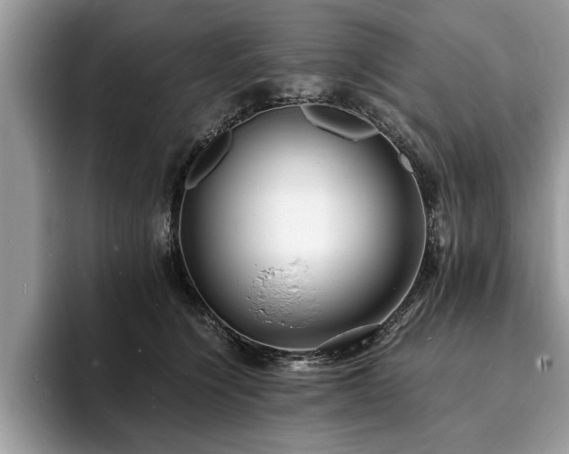 X0000094080564200710191423