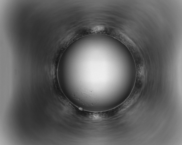 X0000094080565200710191423