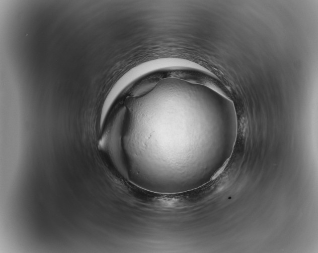 X0000094080570200710191424