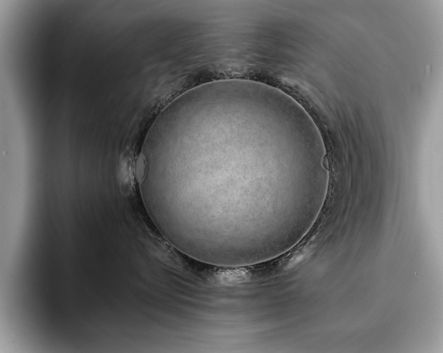 X0000094080576200710191424