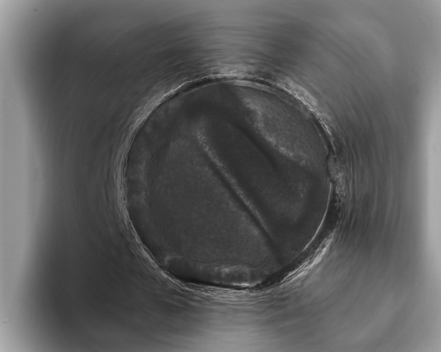 X0000094080577200710191423