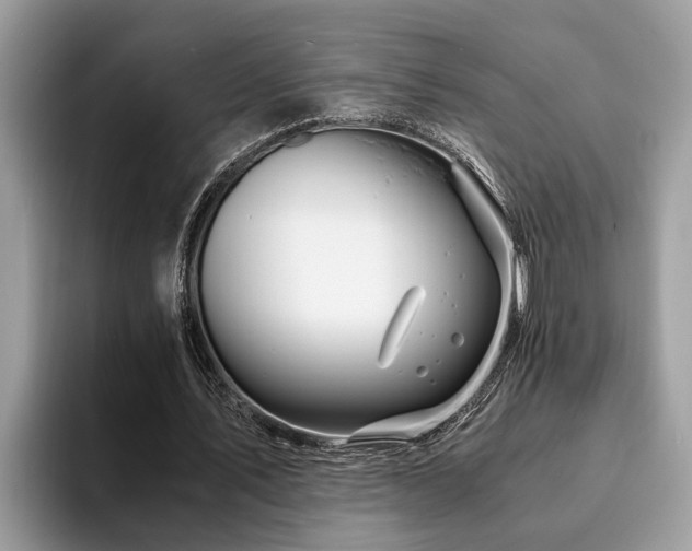 X0000094080579200710191423