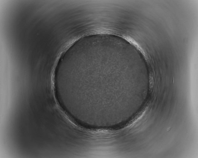 X0000094080581200710191423