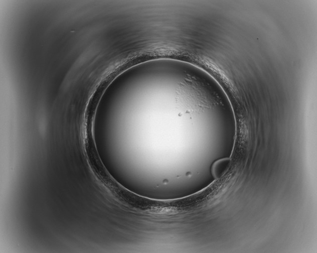 X0000094080582200710191423