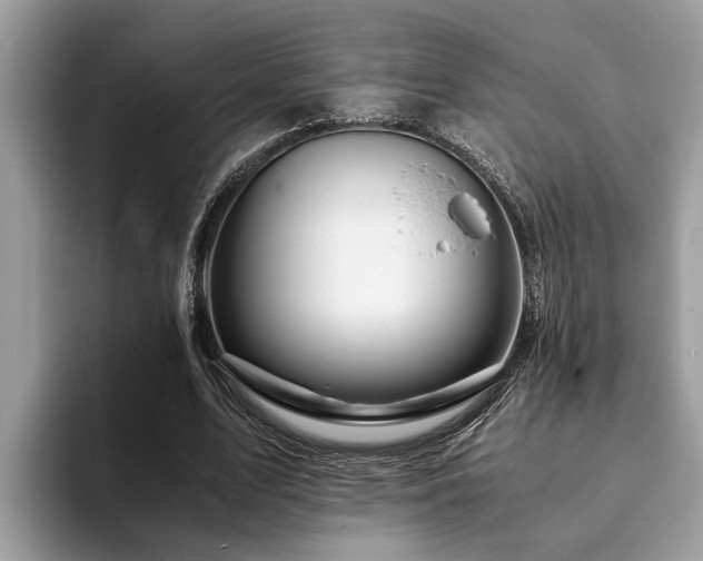 X0000094080583200710191423