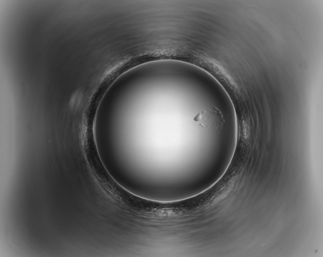 X0000094080588200710191423