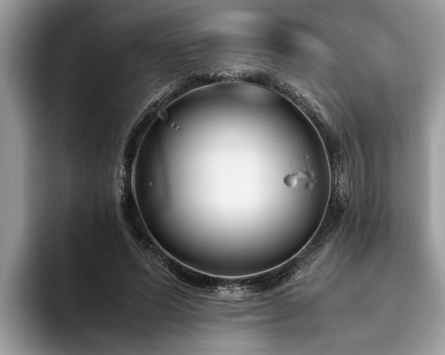 X0000094080591200710191423