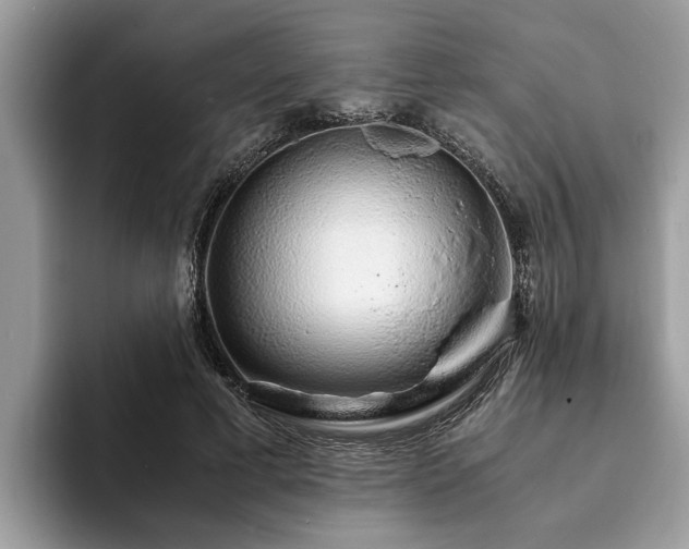 X0000094080593200710191423