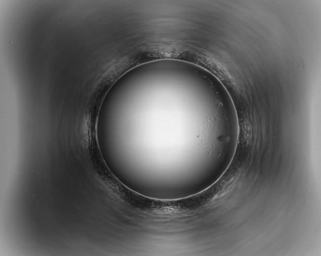 X0000094080594200710191423