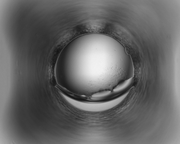 X0000094080599200710191423