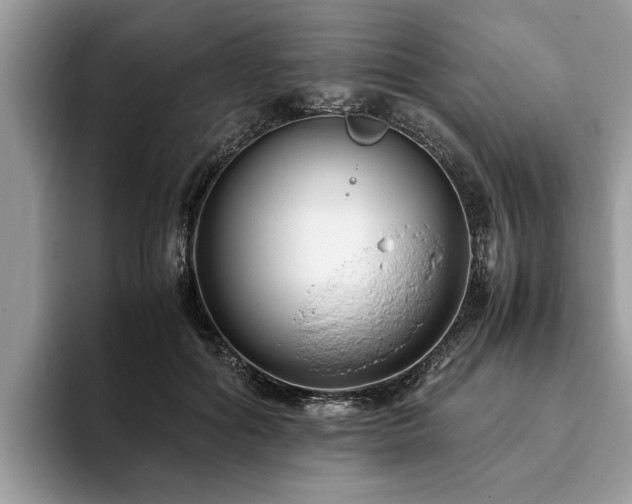 X0000094080602200710191423