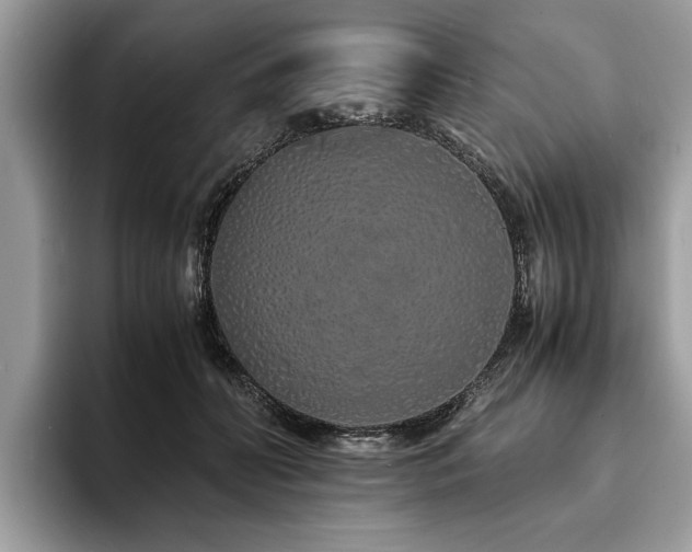 X0000094080606200710191423