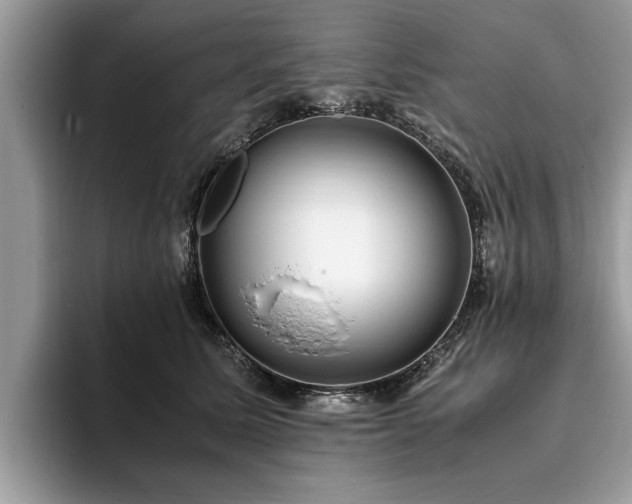 X0000094080611200710191423