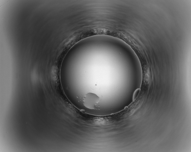 X0000094080616200710191423