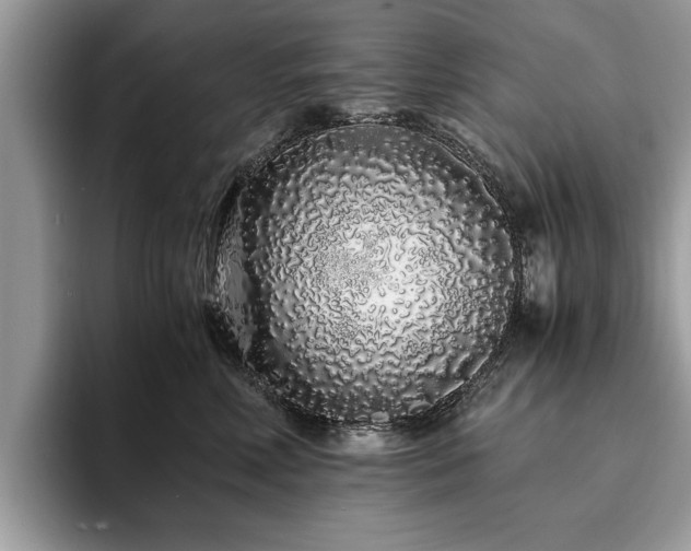 X0000094080618200710191423