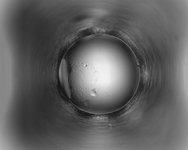 X0000094080619200710191423