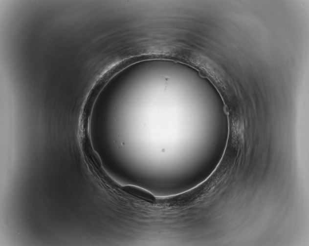 X0000094080628200710191422