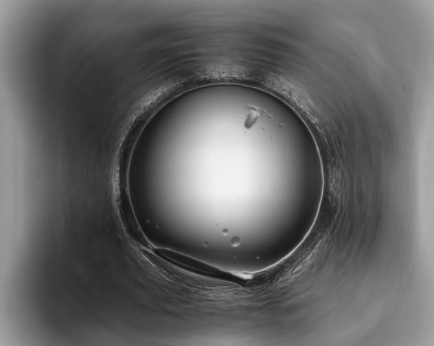 X0000094080629200710191422