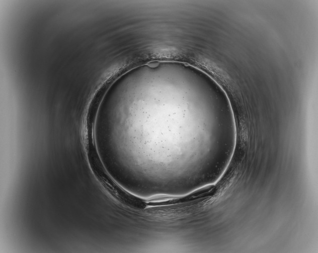 X0000094080630200710191422