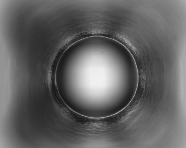 X0000094080631200710191422