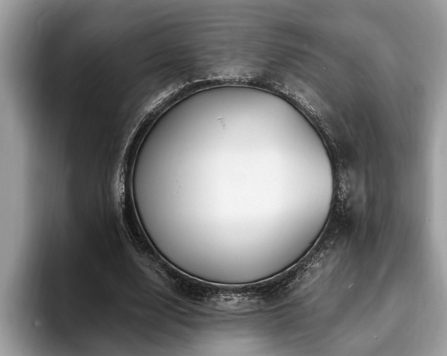 X0000094080632200710191422