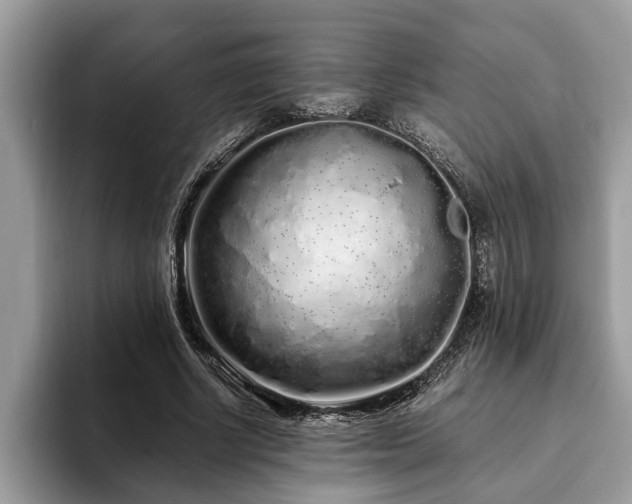 X0000094080634200710191422