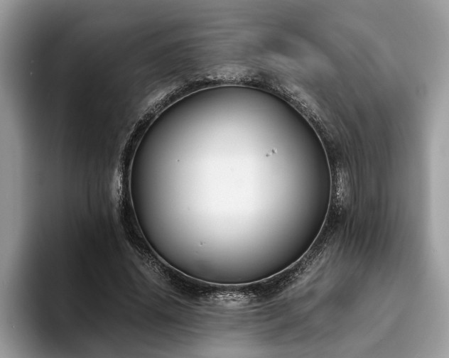 X0000094080636200710191422