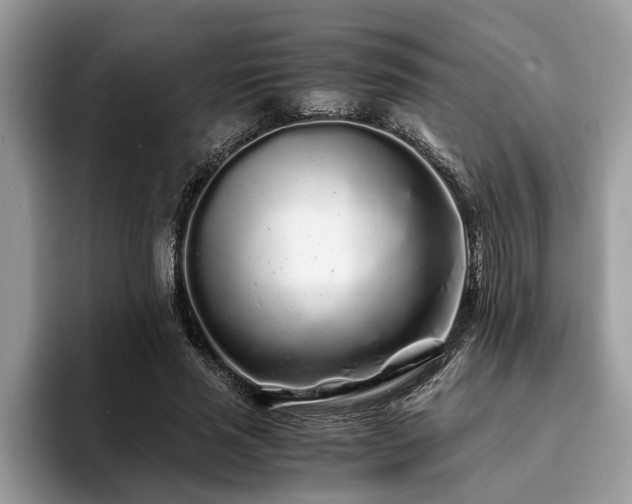 X0000094080637200710191422